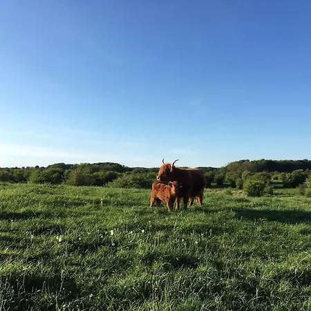 Landhaus Markerup Erdgeschoss *